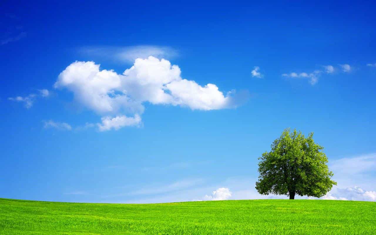 微观经济学-第四章-供给与需求的市场力量