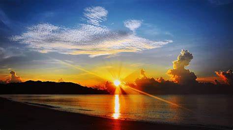 马克思-青年在选择职业时的考虑